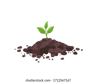 Soil